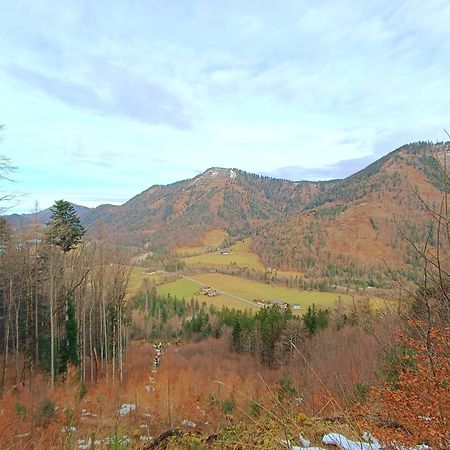 Hintererhof Apartment Hintersee Luaran gambar