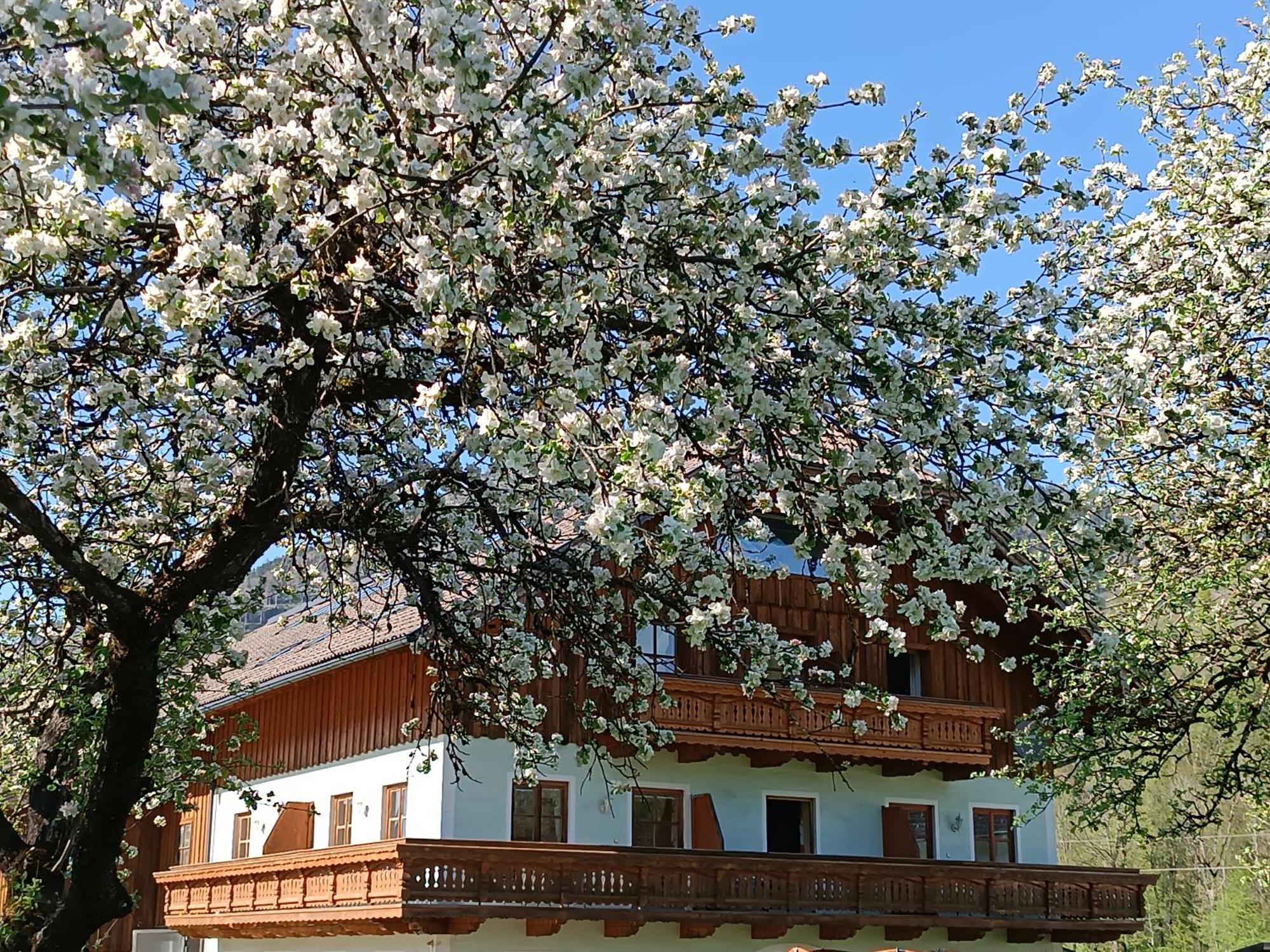 Hintererhof Apartment Hintersee Luaran gambar