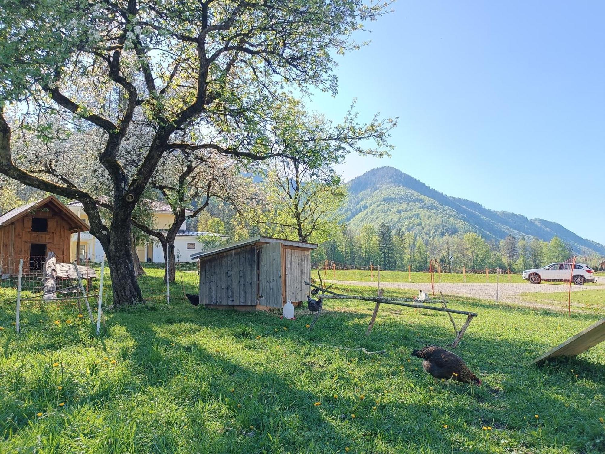 Hintererhof Apartment Hintersee Luaran gambar