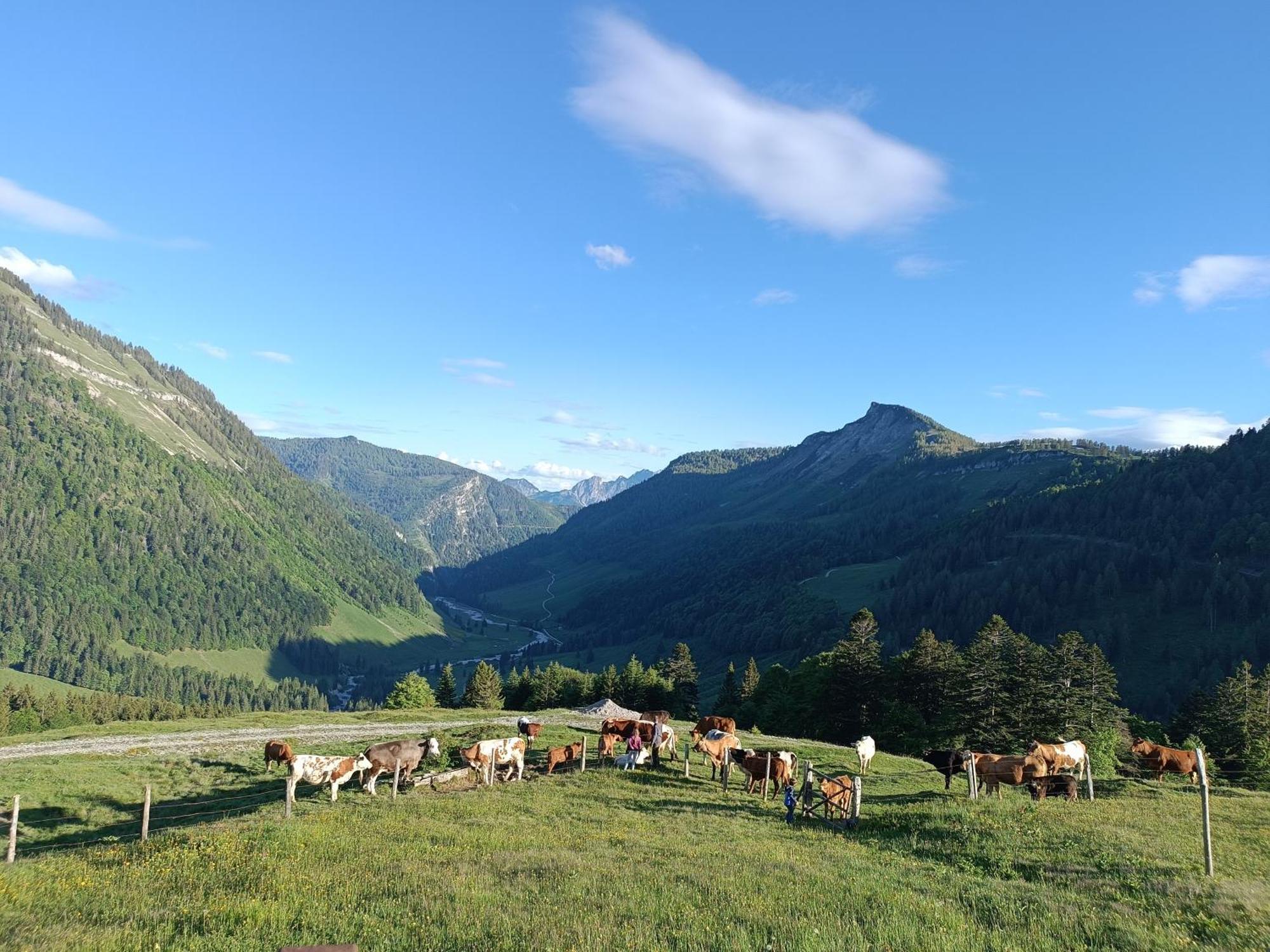 Hintererhof Apartment Hintersee Luaran gambar